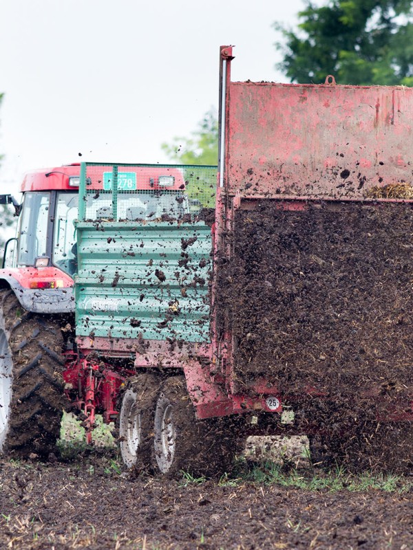 Manure is put back on the land to replenish the soil’s nutrient levels and organic matter.