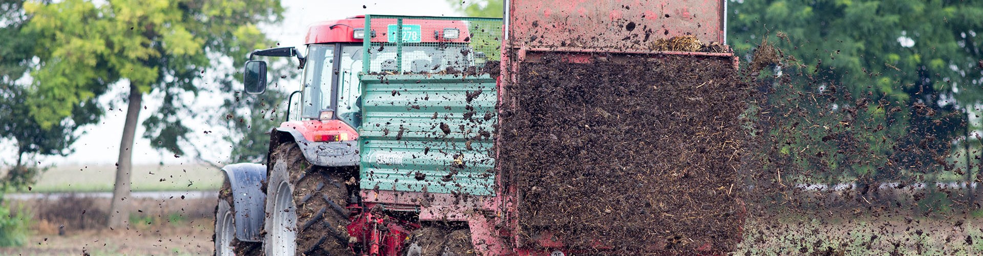 Manure is put back on the land to replenish the soil’s nutrient levels and organic matter.
