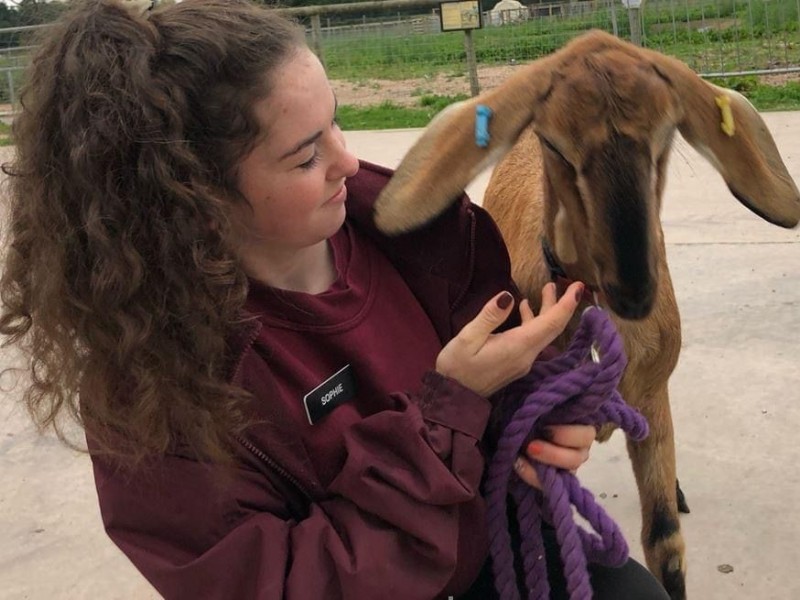 sophie and goat