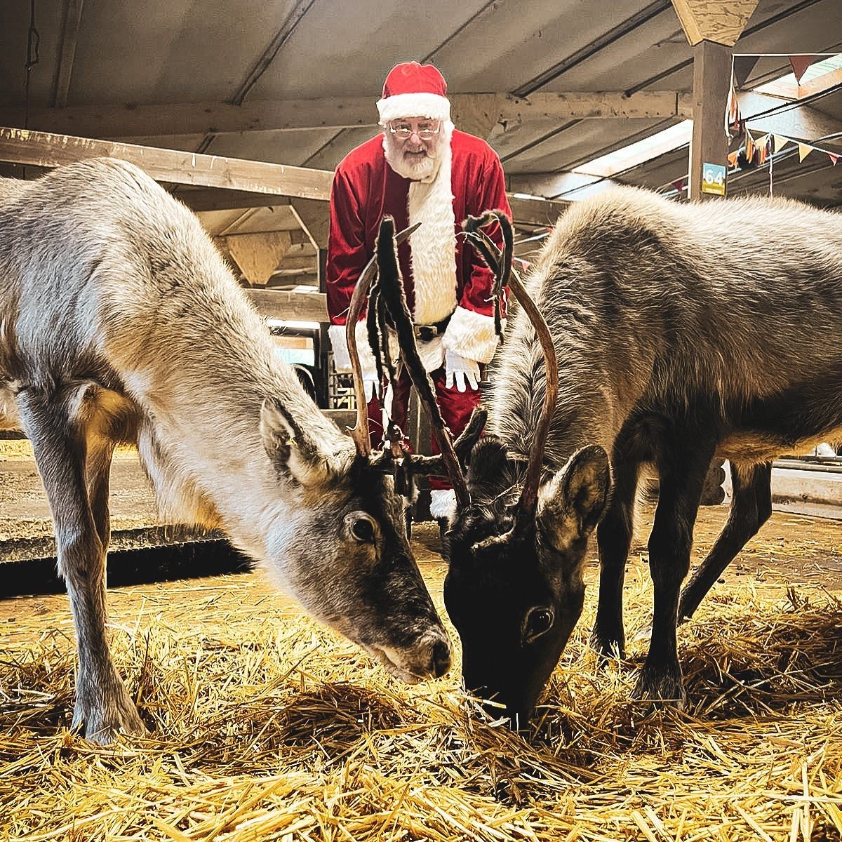 Santa & Reindeer