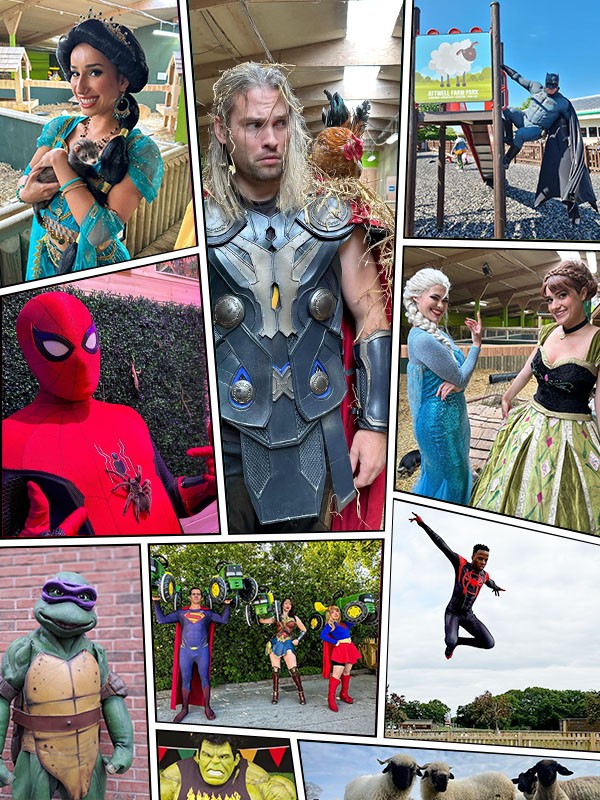 Meet your Favourite Heroes this May Half term at the farm