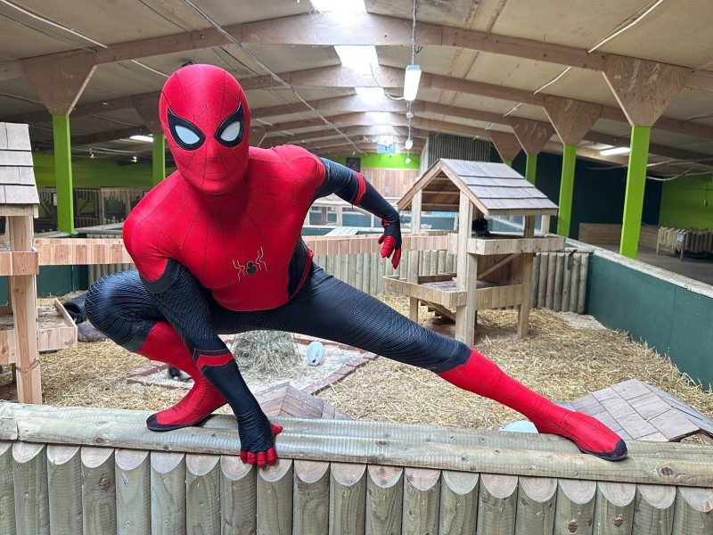 spiderman petting barn