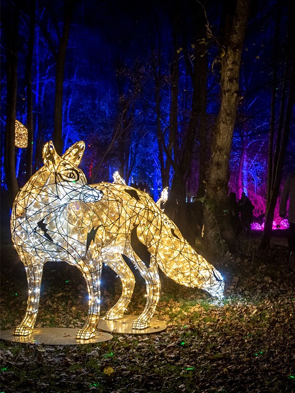 Festive Farm Light Trail