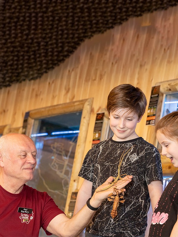 Book your School a Trip to the Farm