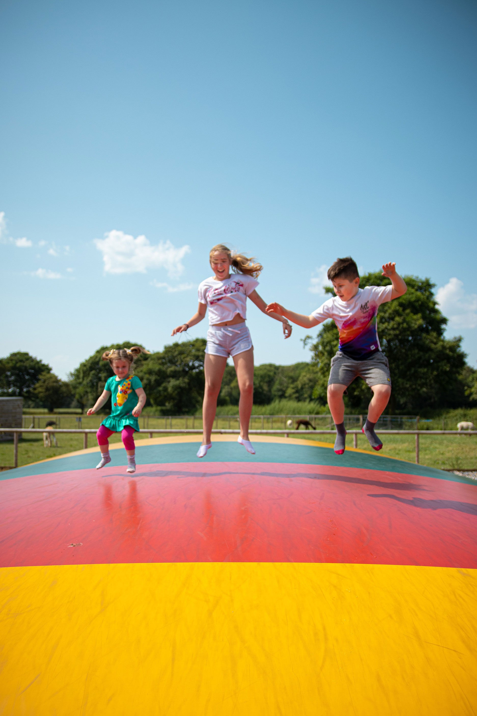 Giant Jumping Pillows